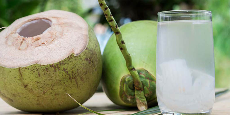 Coconut Drink is Rich in minerals-amino acids-electrolytes