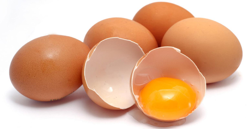 Eggshell Membrane Not a Waste but full of Protein and Nutritions