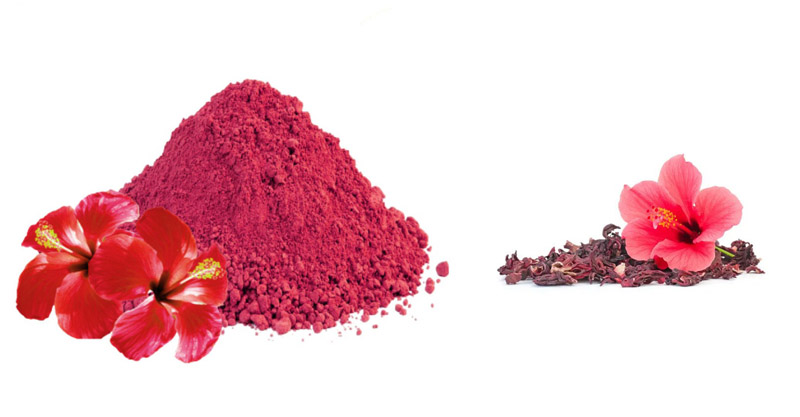 Hibiscus Flower Powder is a Remedy for Many Problems