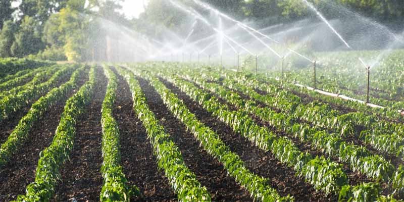 Irrigation Automation Acts as a Supervisor to Manage Irrigation