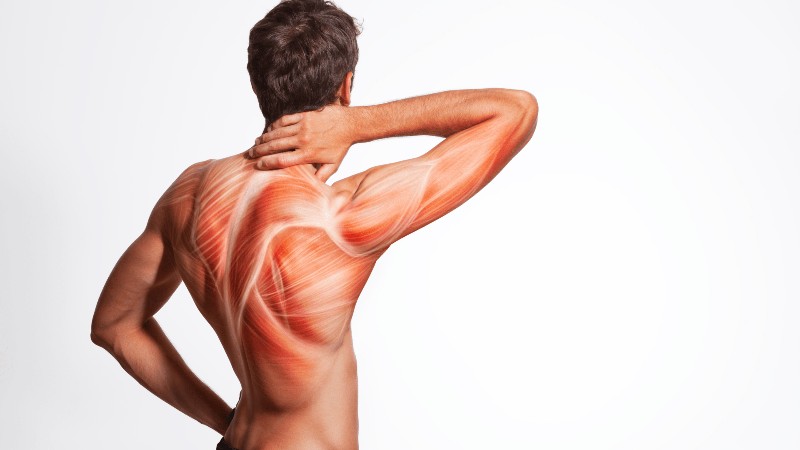 Muscle Relaxant Drugs: A Comprehensive Guide to Relieving Muscle Tension