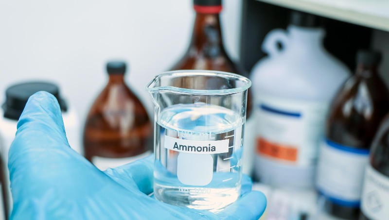 Exploring the Dynamics of Global Ammonia Demand