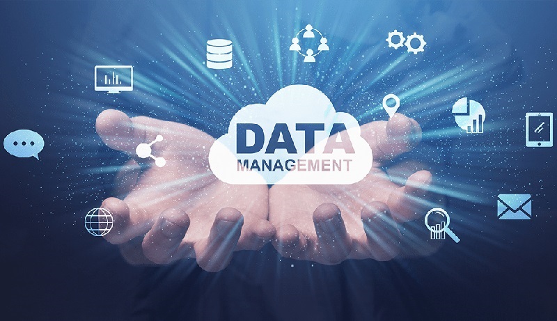 Maximizing Efficiency with Cost-Effective Data Management