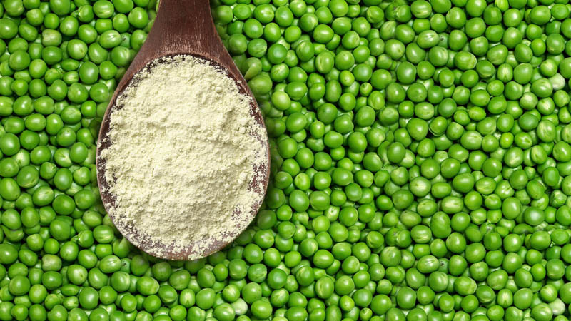 5 Amazing nutritional facts about Pea Protein