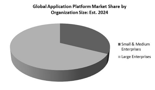 Application Platform Market Share
