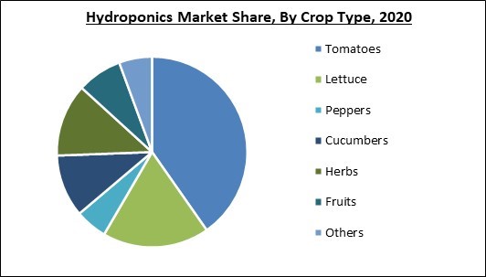 Hydroponics Market Share and Industry Analysis Report 2020