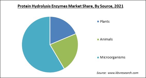 Protein Hydrolysis Enzymes Market Share and Industry Analysis Report 2021