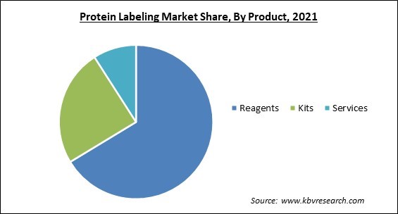 Protein Labeling Market Share and Industry Analysis Report 2021