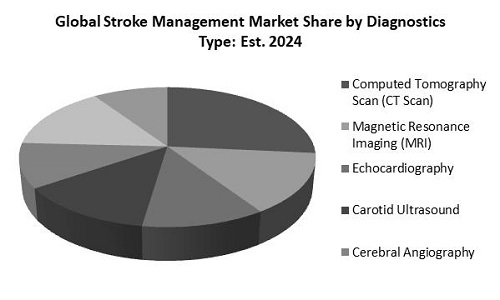 Stroke Management Market Share