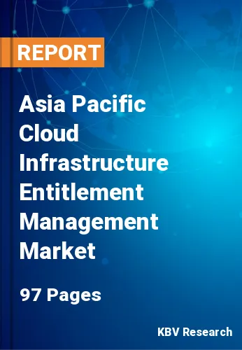 Asia Pacific Cloud Infrastructure Entitlement Management Market