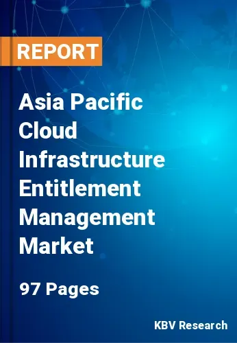 Asia Pacific Cloud Infrastructure Entitlement Management Market Size, 2030
