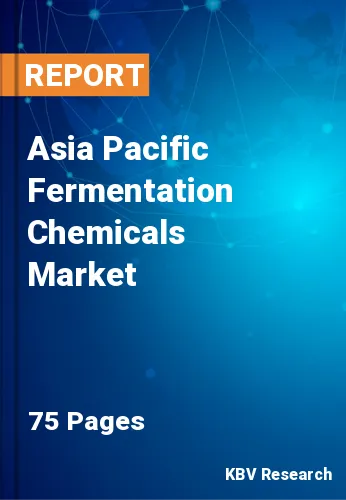 Asia Pacific Fermentation Chemicals Market Size Analysis 2025