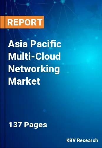 Asia Pacific Multi-Cloud Networking Market Size, Trends by 2028