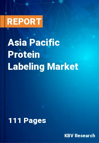 Asia Pacific Protein Labeling Market Size & Share by 2022-2028