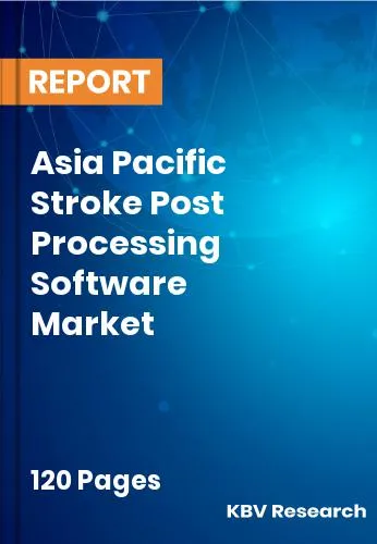 Asia Pacific Stroke Post Processing Software Market Size 2031