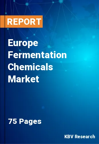 Europe Fermentation Chemicals Market Size & Forecast 2019-2025