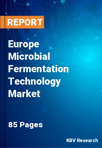 Europe Microbial Fermentation Technology Market Size, 2028