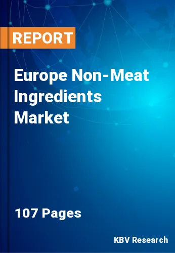 Europe Non-Meat Ingredients Market Size, Forecast by 2028