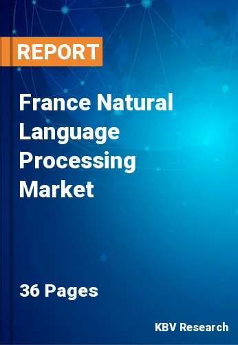 France Natural Language Processing Market Size & Forecast 2025