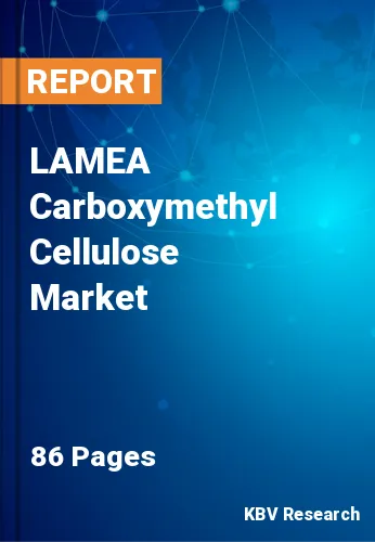 LAMEA Carboxymethyl Cellulose Market