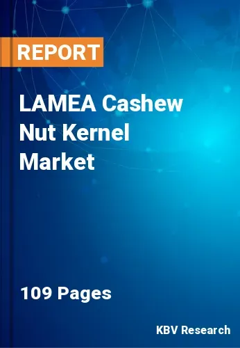 LAMEA Cashew Nut Kernel Market