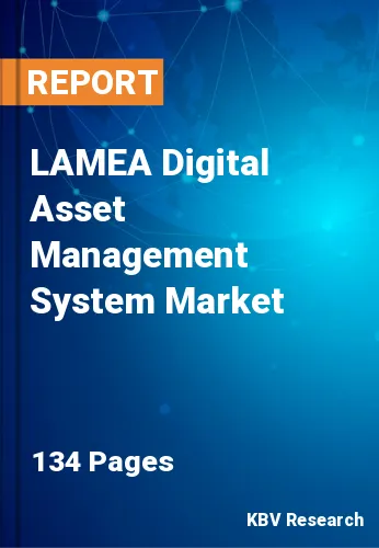 LAMEA Digital Asset Management System Market Size, Analysis, Growth