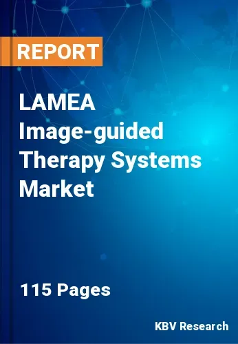 LAMEA Image-guided Therapy Systems Market