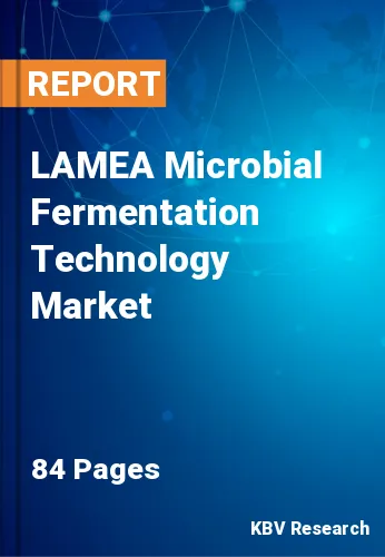 LAMEA Microbial Fermentation Technology Market Size, 2028