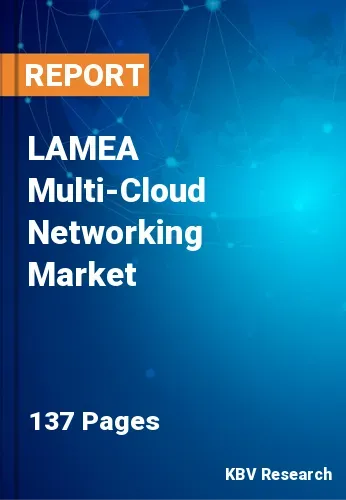 LAMEA Multi-Cloud Networking Market Size, Forecast by 2028