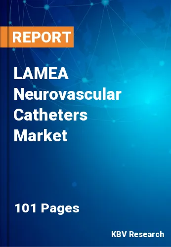LAMEA Neurovascular Catheters Market Size & Growth, 2029
