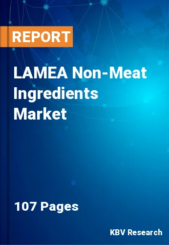 LAMEA Non-Meat Ingredients Market
