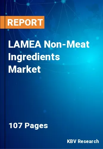 LAMEA Non-Meat Ingredients Market Size, Forecast by 2028