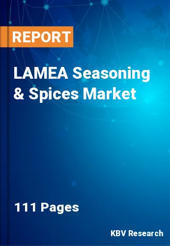 LAMEA Seasoning & Spices Market Size, Share, Trends to 2028