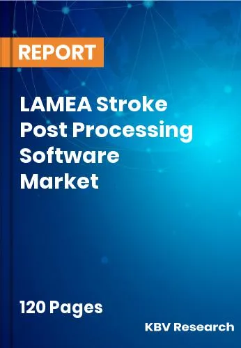 LAMEA Stroke Post Processing Software Market Size 2031