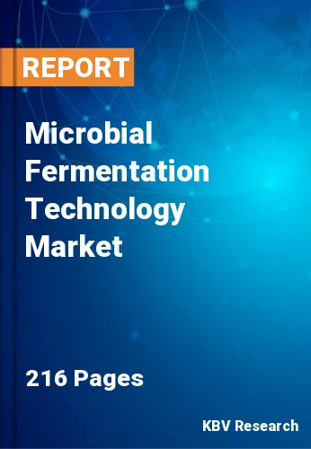 Microbial Fermentation Technology Market Size by 2022-2028