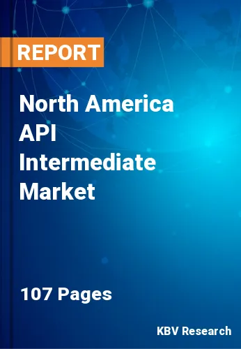North America API Intermediate Market Size Report, 2023-2030
