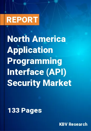 North America Application Programming Interface (API) Security Market Size, 2030