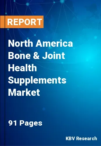 North America Bone & Joint Health Supplements Market Size, 2028