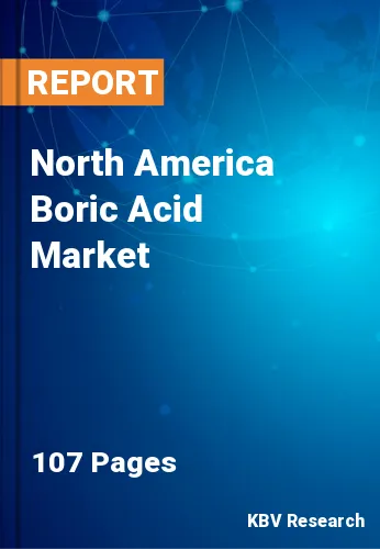 North America Boric Acid Market Size, Share | Growth | 2030