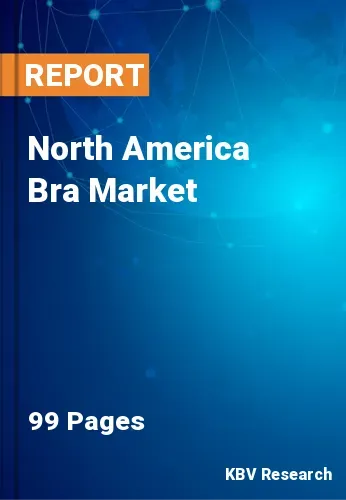 North America Bra Market Size & Analysis | Forecast 2031