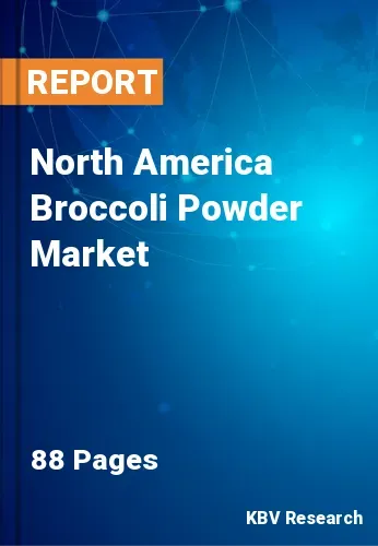 North America Broccoli Powder Market Size & Forecast | 2031