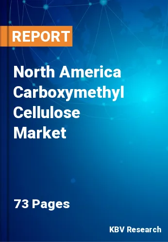 North America Carboxymethyl Cellulose Market