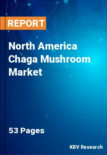North America Chaga Mushroom Market Size & Forecast, 2028