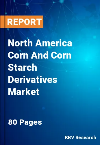 North America Corn And Corn Starch Derivatives Market Size, 2028