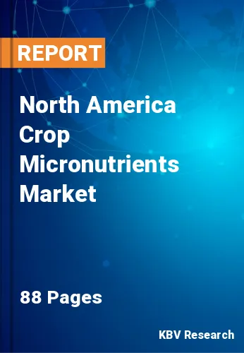 North America Crop Micronutrients Market Size & Trends by 2028