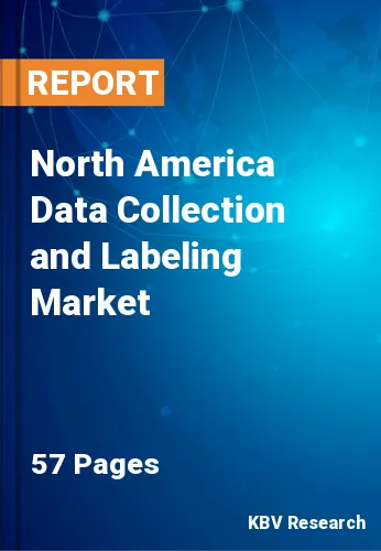 North America Data Collection and Labeling Market