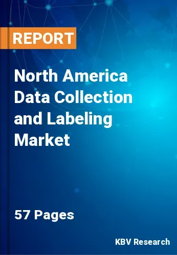 North America Data Collection and Labeling Market