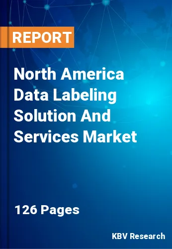 North America Data Labeling Solution And Services Market Size, 2030