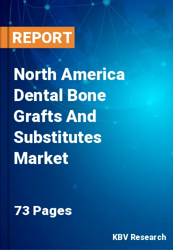North America Dental Bone Grafts And Substitutes Market Size, 2028