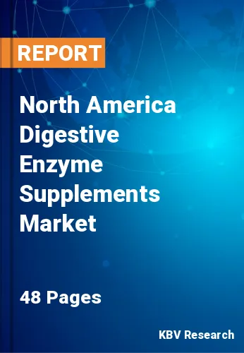 North America Digestive Enzyme Supplements Market Size 2028
